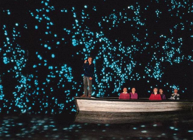 Waitomo Glow worms.